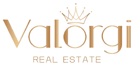 cropped-Valorgi_Final_Logo_and_Font-03-removebg-preview-1-e1739117518454 (1)